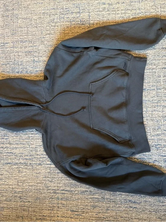 NWT Aritzia Dark Gray Cropped Hoodie & Jogger Sweat Set - Picture 2 of 7